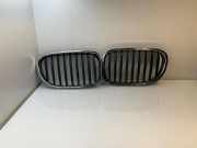 Gitter Grill vorne links BMW 7 (F01, F02) 750 i 8057089