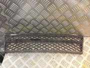 Gitter vorne unten BMW 5 Touring (E61) 520 d 7178115
