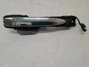 Türgriff links vorne Nissan Leaf (ZE0) PA66GF25