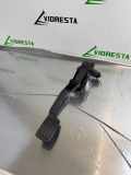 Fahrpedal Citroen C4 II Grand Picasso () 0280755270