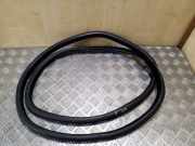 Türdichtung BMW 5er (F10)