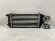 Ladeluftkühler CITROËN C3 AIRCROSS II 1.2 Puretech 130 9803900780