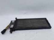 Elektrischer Schulterschulterkühler