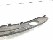 Blende Nebelscheinwerfer Volvo C70 II Cabrio () 09466546