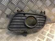 Kühlergrill links Mercedes-Benz A-Klasse (W169) 1698850522