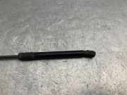 Gasfeder für Motorhaube VW Caddy III Kasten (2KA) 1T0823359D