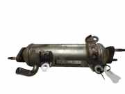 Abgaskühler Opel Antara (L07) 96817829