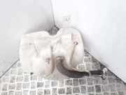 Fensterwaschtank ALFA ROMEO 166 (936_) 2.4 JTD E2017080 E2014045