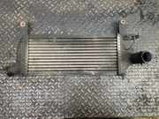 Ladeluftkühler NISSAN PATHFINDER III (R51) 2.5 dCi 4WD 14461EB360