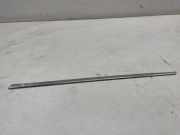 Kotflügelzierleiste hinten links