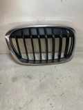 Kühlergrill oben BMW X1 (F48) 7383364