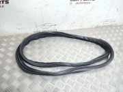 Türdichtung vorne rechts MITSUBISHI LANCER VIII Sportback (CX_A) 2.0 DI-D