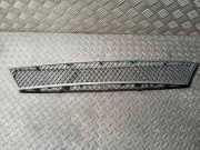 Gitter vorne unten BMW 5 Gran Turismo (F07) 535 i 51117200729 7200729