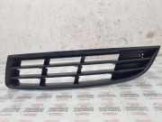 Gitter vorne unten VW PASSAT B6 (3C2) 2.0 TDI