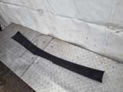 Dachverkleidung VW EOS (1F7, 1F8) 2.0 TDI 16V 1Q0871262C 1Q0871376