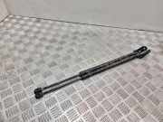 Heckklappe Gasdruckfeder links TOYOTA COROLLA Verso (ZER_, ZZE12_, R1_) 2.2 D-4D (AUR10_) 9581Y00545N