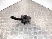 Ölpumpe Hyundai Santa Fe I (SM)