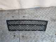 Kühlergrill unten BMW 5er Touring (E61) 7178115