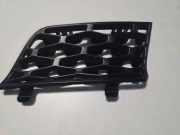 Gitter vorne unten LAND ROVER RANGE ROVER III (L322) 4.4 D 4x4 DXB500380PUY