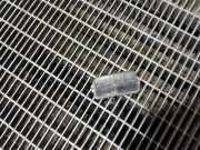 Kennzeichenbeleuchtung CITROËN BERLINGO (K9) 1.5 BlueHDi 130 71907190