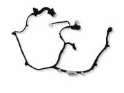 Türverkabelung hinten links NISSAN PULSAR Hatchback (C13) 1.2 DIG-T 241263ZP0A