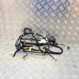 Kabel Tür vorne rechts MASERATI GRAN TURISMO 4.7 231434