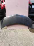 Motorhaube Renault Modus - Grand Modus (P)