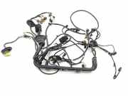 Motor Kabelbaum JAGUAR XK 8 Convertible (X100) 4.2 LJH3350CB