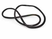 Türgummi links vorne VW Caddy III Kasten (2KA) 2K0837911H