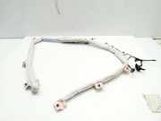 Dach SRS rechts SKODA SUPERB III (3V3) 2.0 TDI 3V5880742D