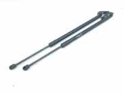 Heckklappe Gasdruckfeder links NISSAN QASHQAI III (J12) 1.3 DIG-T All-wheel Drive 904506UA0B