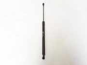 Heckklappe Gasdruckfeder rechts RENAULT SCÉNIC III (JZ0/1_) 1.6 dCi (JZ00, JZ12) 904500004R