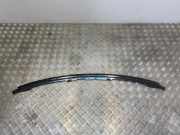 Windschutzscheibenverkleidung MERCEDES-BENZ SL (R129) 500 SL (129.066)