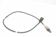 Sauerstoffsensor (Lambdasensor) SKODA SCALA 1.0 TSI 05C906262D