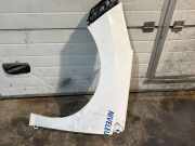 Kotflügel vorne links PEUGEOT 308 (4A_, 4C_) 1.6 HDi