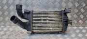 Ladeluftkühler OPEL ZAFIRA B (A05) 1.9 CDTI WTP8630 1367B