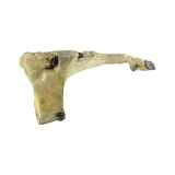 Fensterwaschtank VOLVO V50 (MW) 2.0 CDI 4M5113K167BC 4M5113K183AC