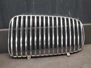 Kühlergrill oben Jaguar XJ (NAW, NBW)