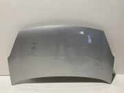 Motorhaube Peugeot Partner II Tepee ()