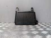 Audio-Verstärker Volvo S80 II (124) 30775889