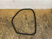 Türgummi rechts hinten BMW 4er Gran Coupe (F36)