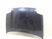 Motorhaube Renault Clio III (BR0/1, CR0/1) 651005045R