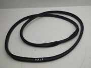 Türgummi links vorne Renault Megane I (BA)