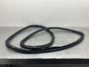 Türgummi links hinten BMW 5er (G30, F90)