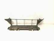 Kühlerluftumlenker MERCEDES-BENZ CLS (C218) CLS 250 CDI / BlueTEC / d (218.303, 218.304) A2185050430