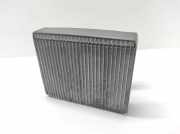 A/C Matrix Heater HYUNDAI SONATA V (NF) 2.4