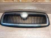 Gitter Grill vorne links SKODA FABIA I (6Y2) 1.4 16V 6Y0853668