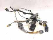 Kabel Tür vorne rechts RENAULT LAGUNA II (BG0/1_) 2.0 dCi (BG1T) 8200379055