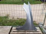 Kotflügel vorne links