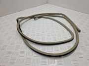 Dichtungsgummi am Ende (Gabel) RENAULT KOLEOS I (HY_) 2.0 dCi 4x4 (HY0K)